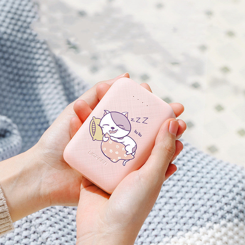 Power Bank 10000mAh Type-C Micro Input