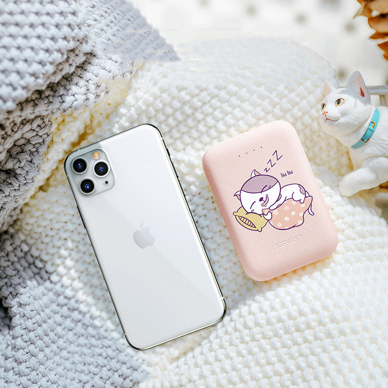 Power Bank 10000mAh Type-C Micro Input