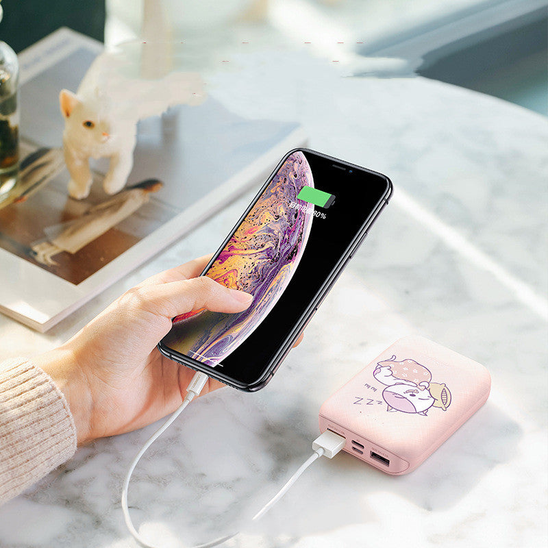 Power Bank 10000mAh Type-C Micro Input