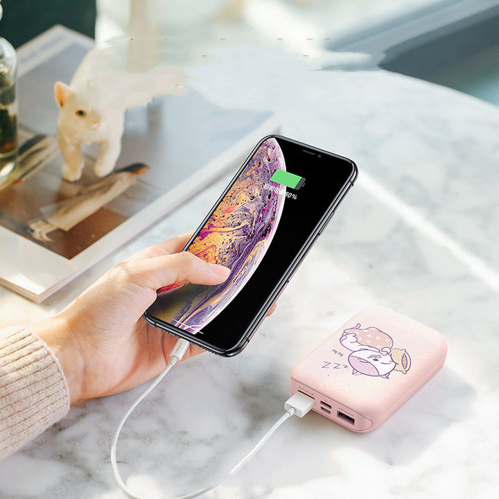 Power Bank 10000mAh Type-C Micro Input